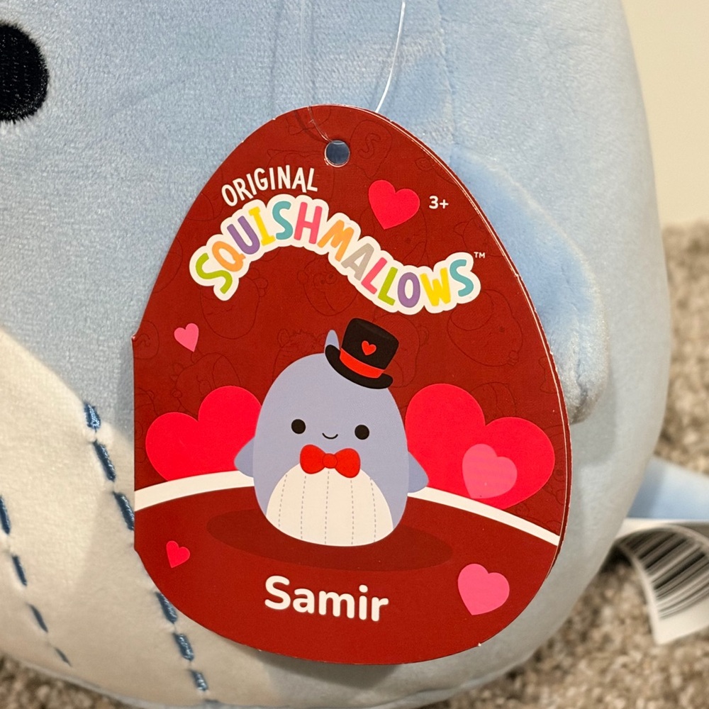 Samir - Picture 6 of 8